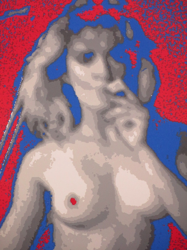 Henk van der Vet, Nachtclubdanseres, Kleurenzeefdruk kopen? Bied vanaf 35!