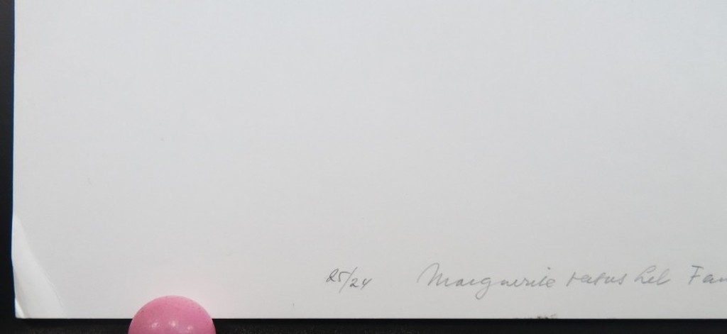 Berend Hendriks: Zeefdruk, Marguerite ... XXX A1 kopen? Bied vanaf 1!