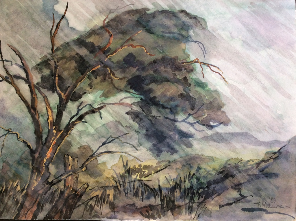 Thijs Mauve, aquarel, 1979 kopen? Bied vanaf 40!