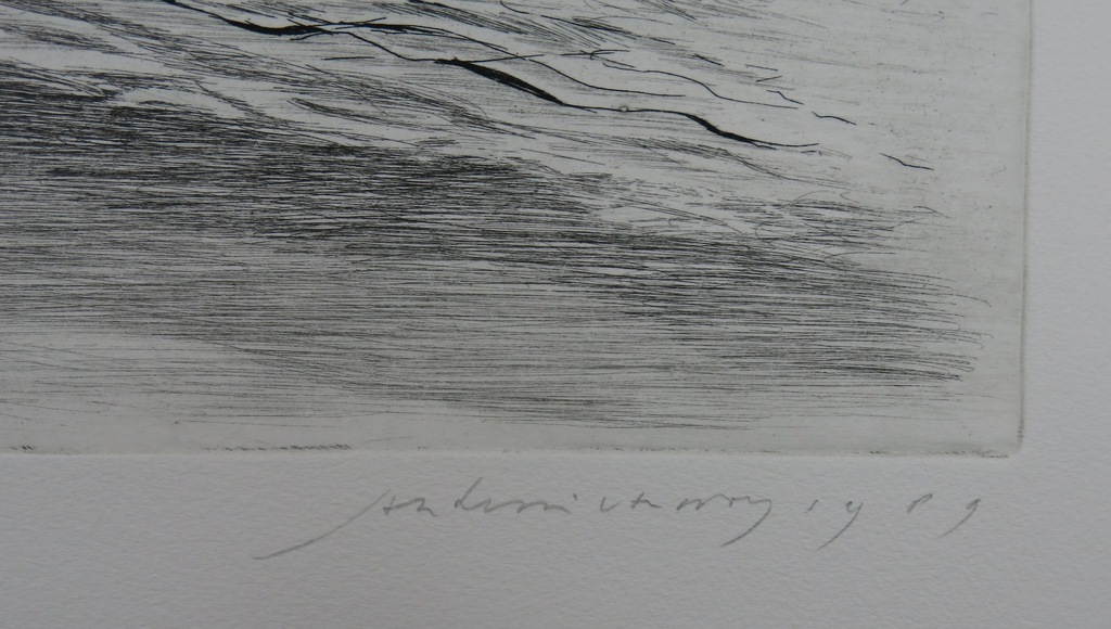 Jan Hein van Rooy: Ets, Kust kopen? Bied vanaf 20!