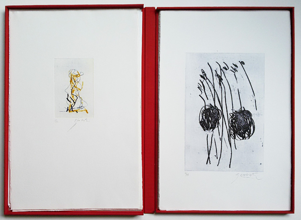 Ger Lataster en Bert Schierbeek - Een gat in het geluid, 10 etsen en gedichten kopen? Bied vanaf 750!