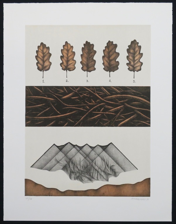 Ana Godel: Litho, Cahiers de Botanique kopen? Bied vanaf 1!