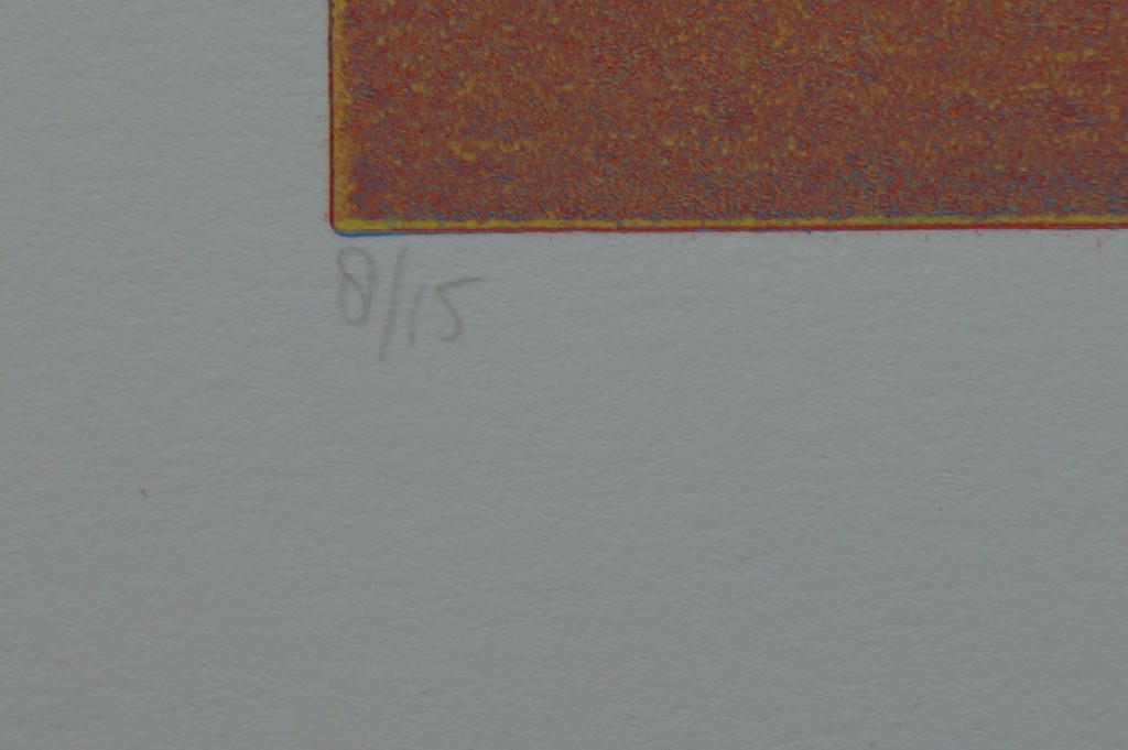 Rosetta Spadaro - gesigneerde ets - Helm Casuaris - 1995 kopen? Bied vanaf 10!