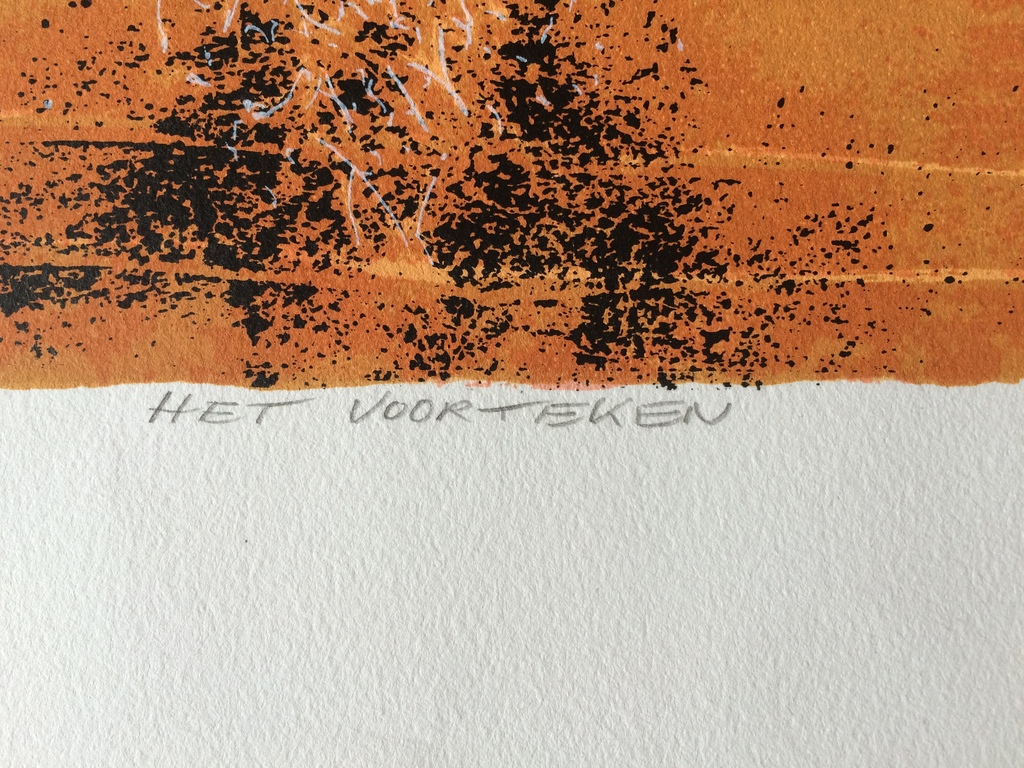 zeefdruk Cor de Jong Het voorteken kopen? Bied vanaf 50!