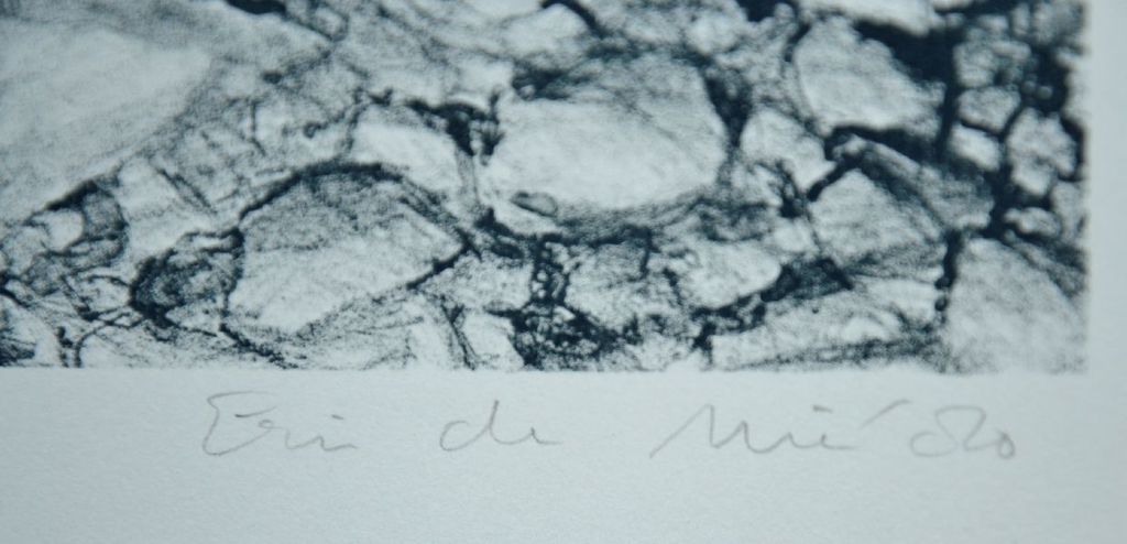 Eric de Nie: Litho. Schaduw in landschap kopen? Bied vanaf 1!