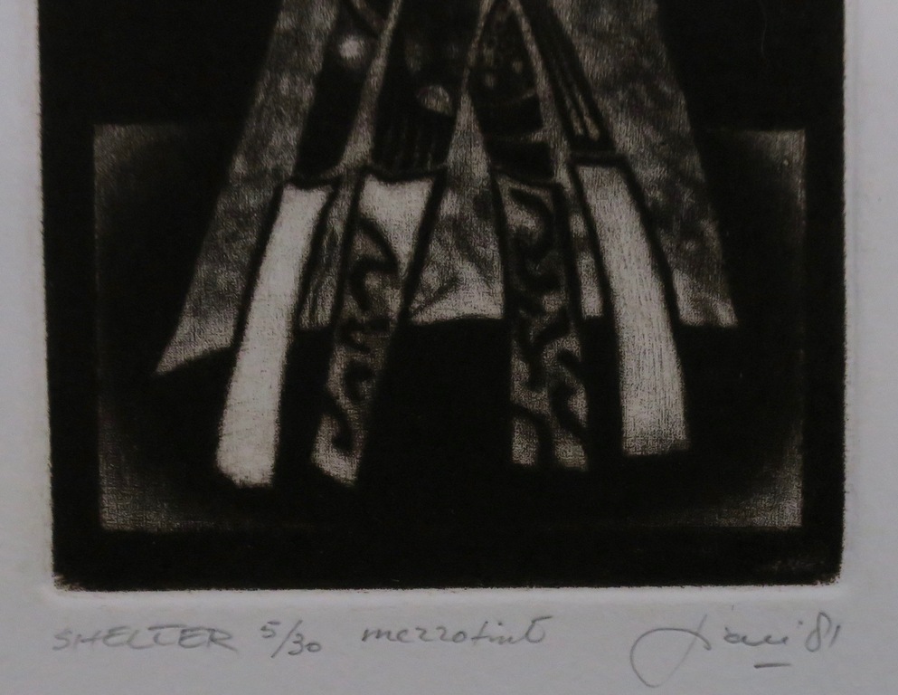 Rob Figee: Mezzotint, Shelter kopen? Bied vanaf 20!