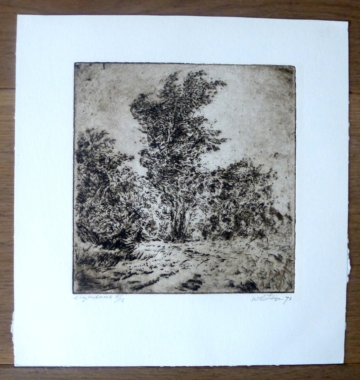Wim Steijn - ets: Bomen 2 - 1971 kopen? Bied vanaf 35!
