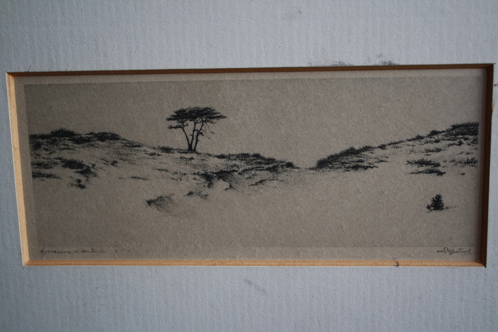 Dirk Harting - DUINLANDSCHAP met DUIN BOOM kopen? Bied vanaf 20!