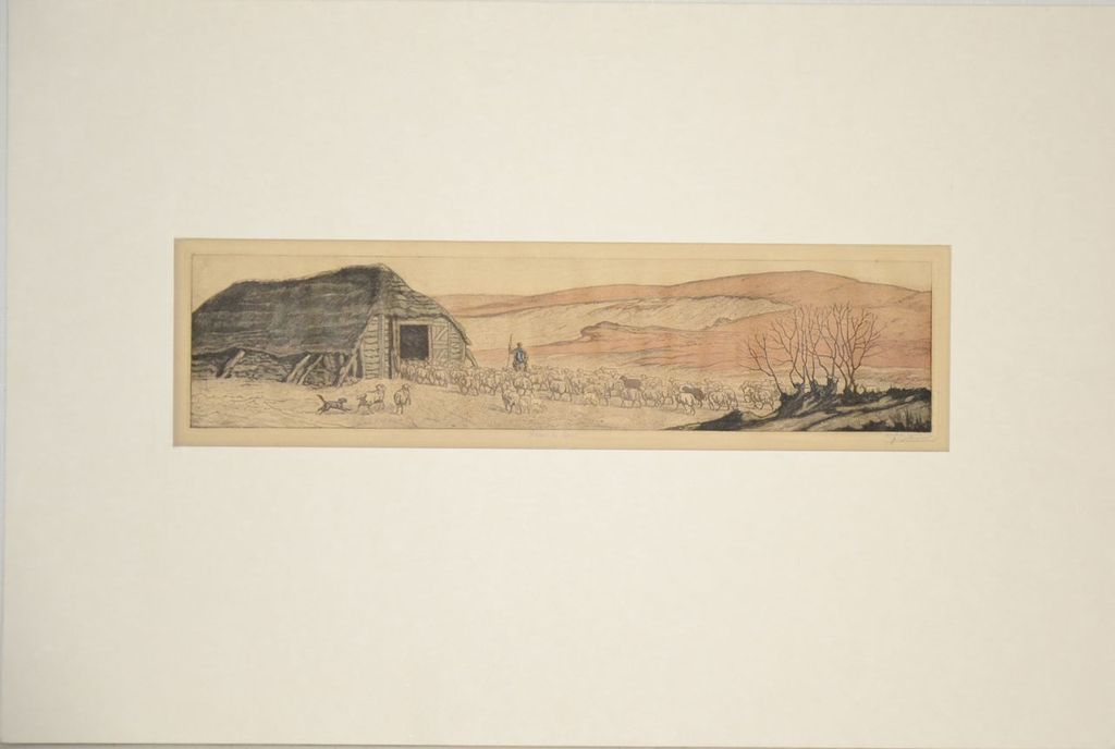 Tjeerd Bottema: Kleuren ets. Naar de kooi kopen? Bied vanaf 70!