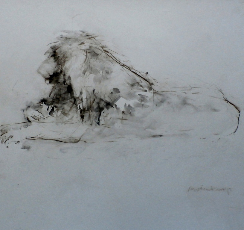 Nico Molenkamp - krijttekening: rustende leeuw verkocht voor € 450!