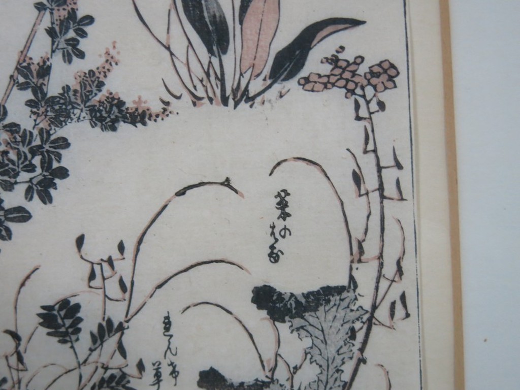 Onbekende kunstenaar: Houtsnede op Japans papier, Studie van planten - Ingelijst kopen? Bied vanaf 10!