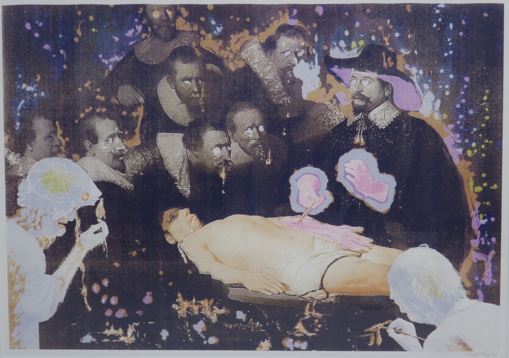 Rob Birza: Zeefdruk, De Anatomieles -Ingelijst kopen? Bied vanaf 60!