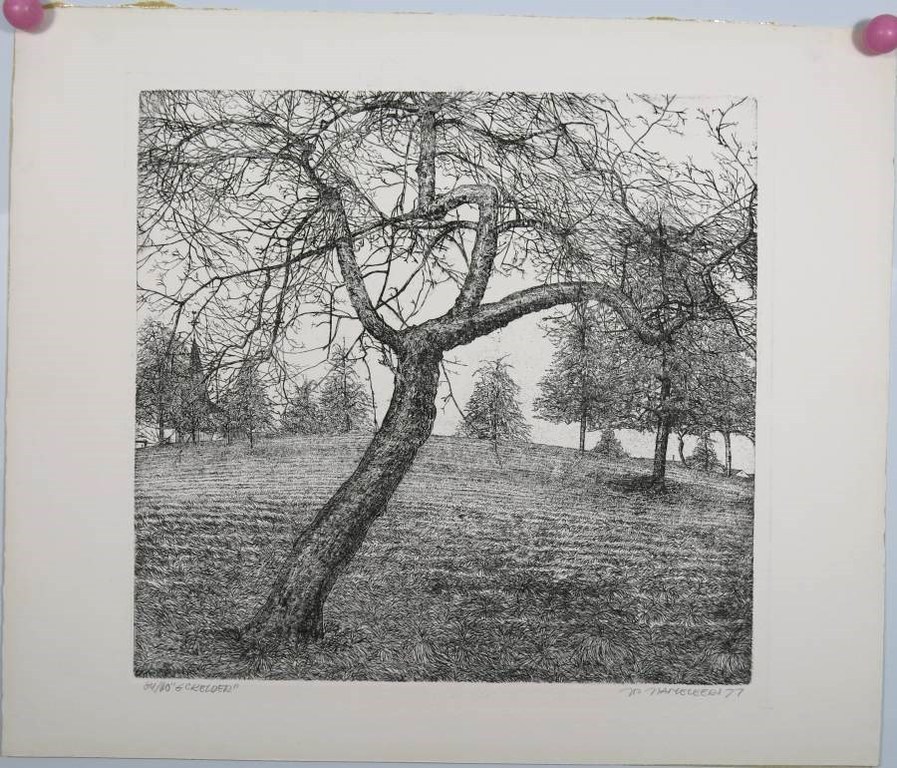 Jos Hameleers: Ets, Bomenlandschap kopen? Bied vanaf 35!