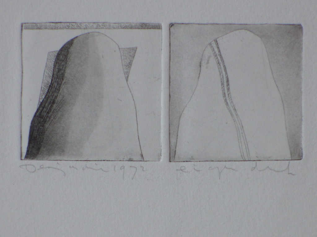 David Desjardine, Dubbele Vorm, Ets 1972 verkocht voor € 35!