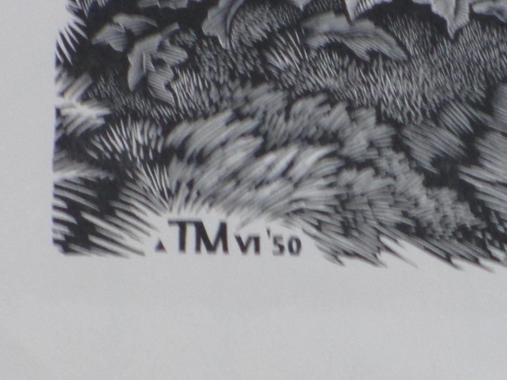 Thijs Mauve, Boslandschap, Houtgravure kopen? Bied vanaf 45!