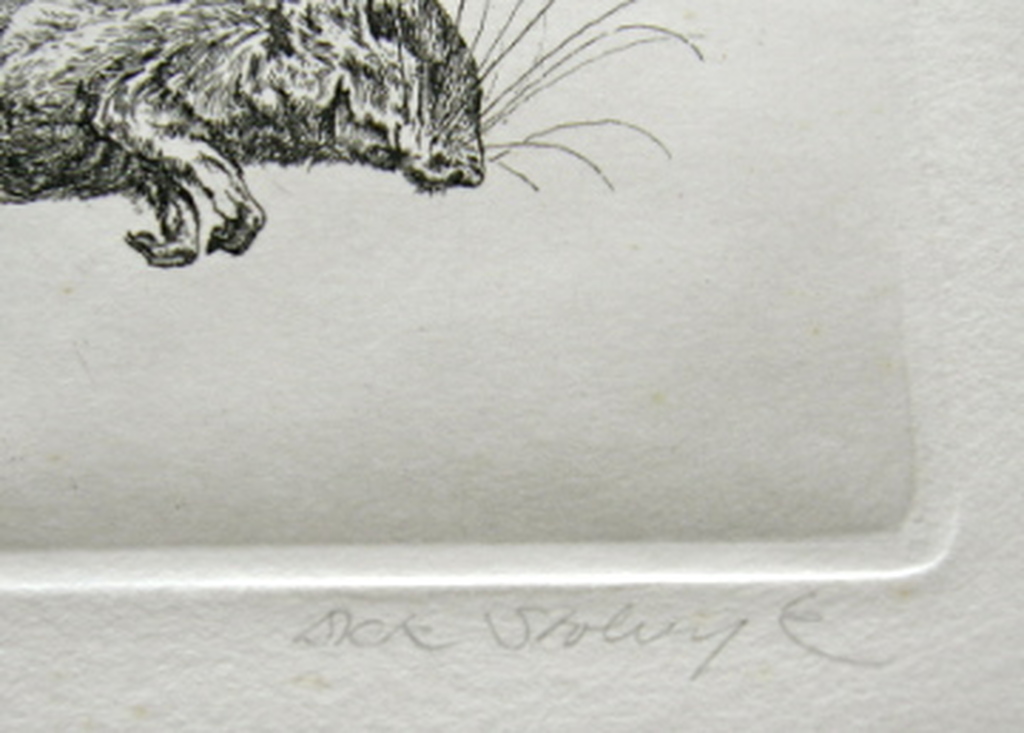 Dick Stolwijk, ets, muis kopen? Bied vanaf 25!