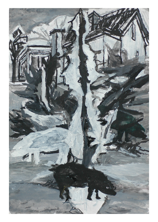 Drie varkens kopen? Bied vanaf 40!