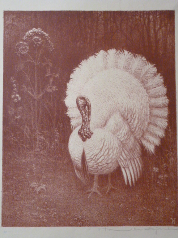 H.Verstijnen - litho - Witte kalkoen kopen? Bied vanaf 35!
