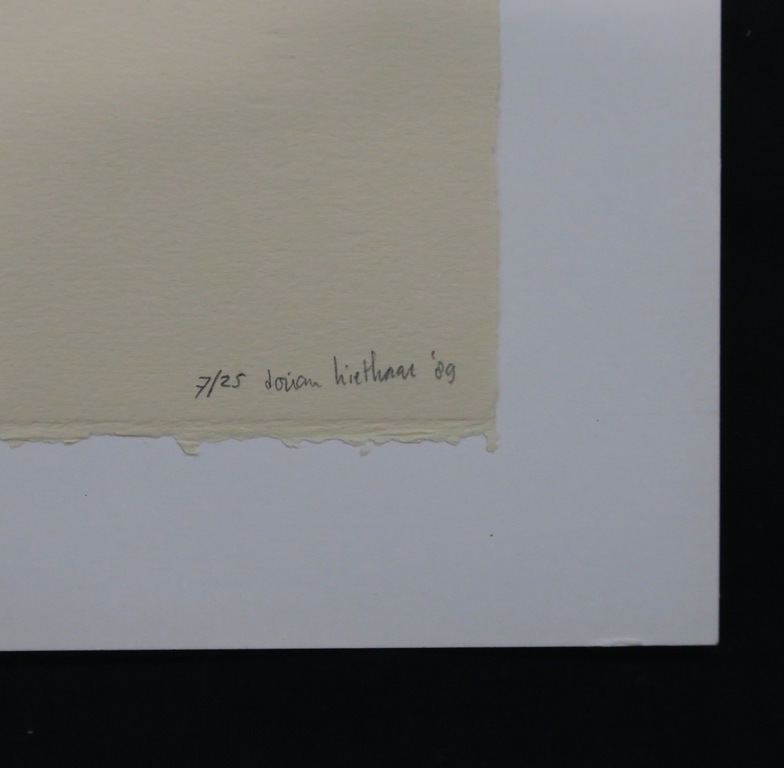 Dorian Hiethaar: Litho, Blauw bos kopen? Bied vanaf 1!