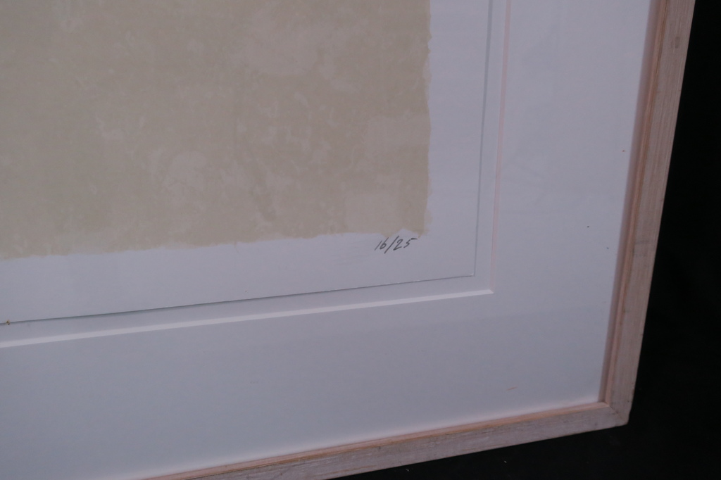 Harrie Gerritz: Zeefdruk, De Toren - Ingelijst (groot) kopen? Bied vanaf 70!