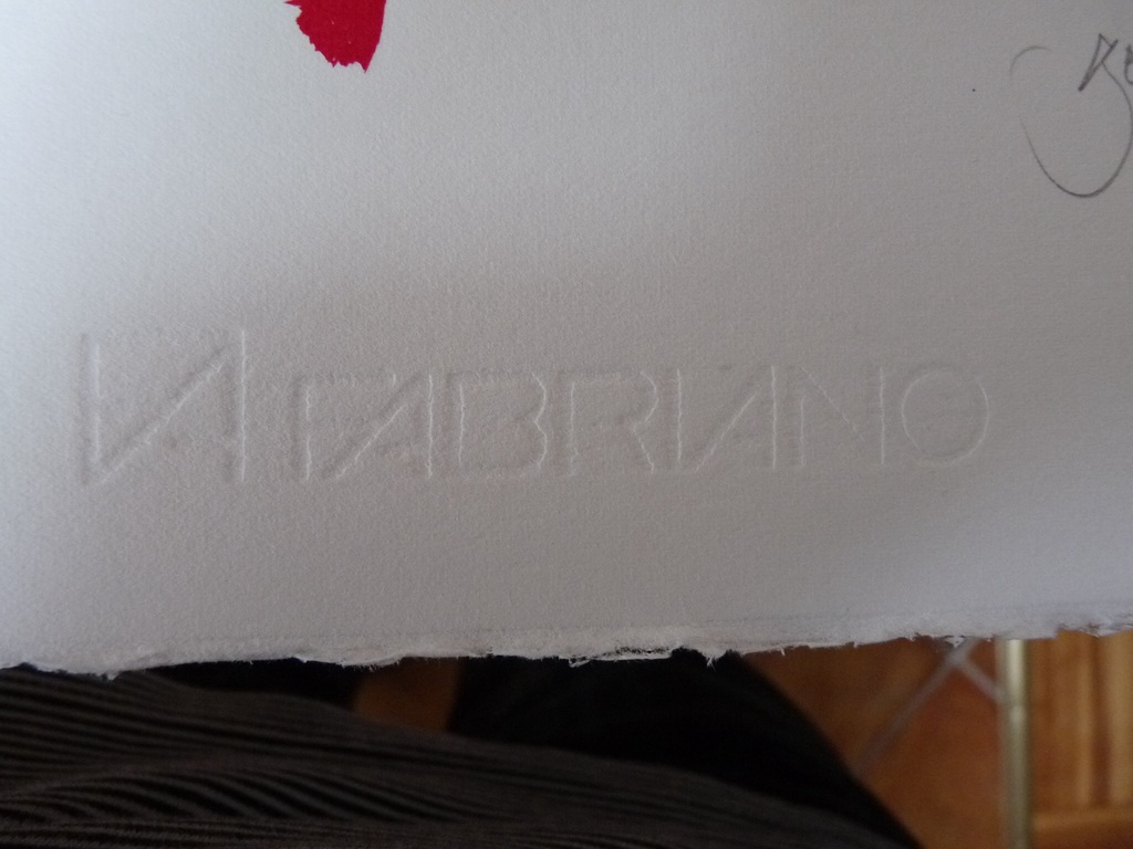 mooie kleur lithografie van Gerrit Westerveld kopen? Bied vanaf 50!