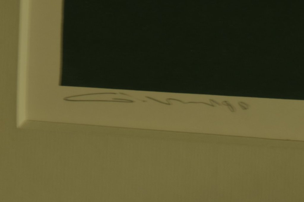 Gerard 't Hart - Zeefdruk met Acrylverf op papier - Landschap groen kopen? Bied vanaf 10!