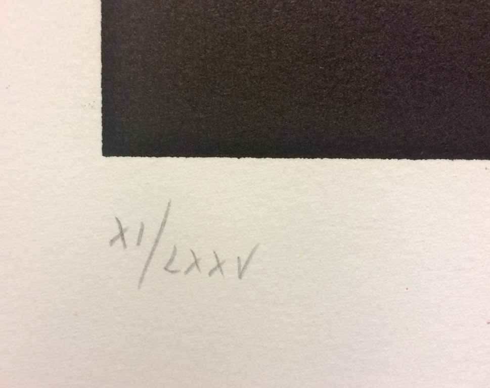 Fabio de Poli - La Bolsa de Matisse - gesigneerd en genummerd kopen? Bied vanaf 50!