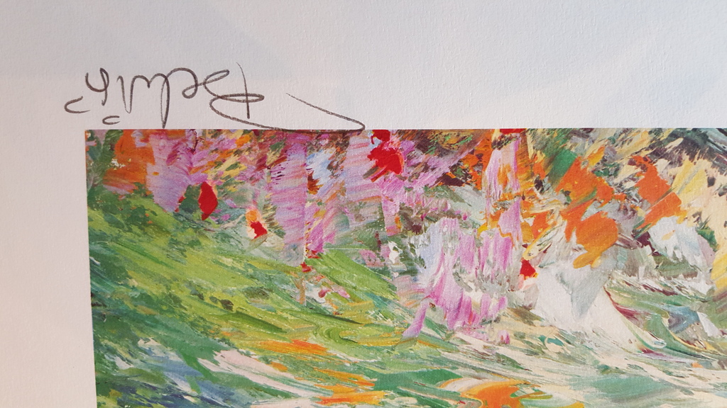 MARCEL BELVISI - FELSENDORF IN BLÜHENDER LANDSCHAFT, grote litho, handgesigneerd kopen? Bied vanaf 1!