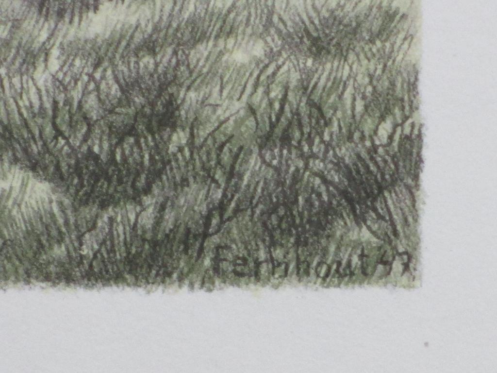 Edgar Fernhout, Noord Hollands landschap, Kleurenlitho kopen? Bied vanaf 1!