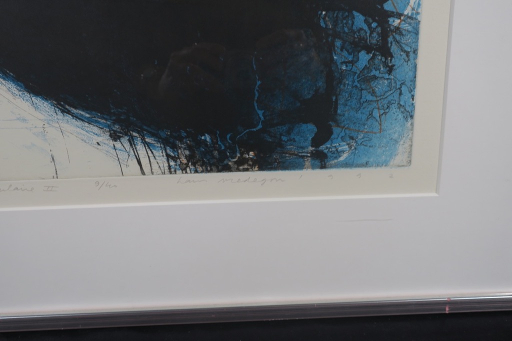 Hans Vredegoor: Ets en Aquatint, Apparition spectaculaire II - Ingelijst kopen? Bied vanaf 35!