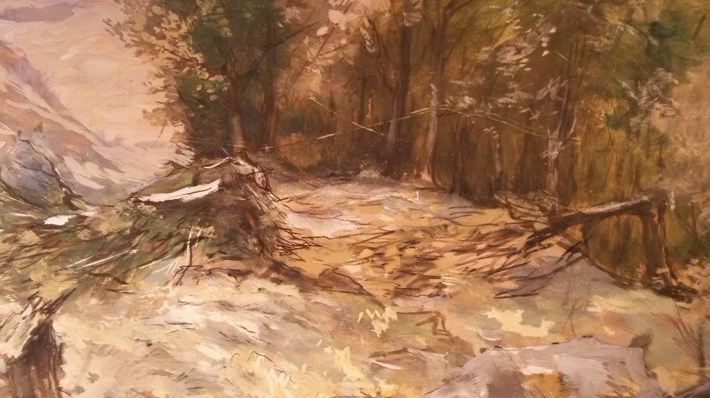 E.R.D. Schaap (1862-1939) - berglandschap - gemengde techniek op papier kopen? Bied vanaf 80!