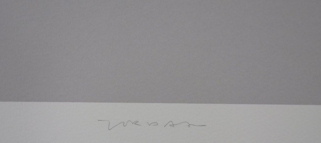 Peter Jordaan: Zeefdruk, Zonder titel  kopen? Bied vanaf 20!