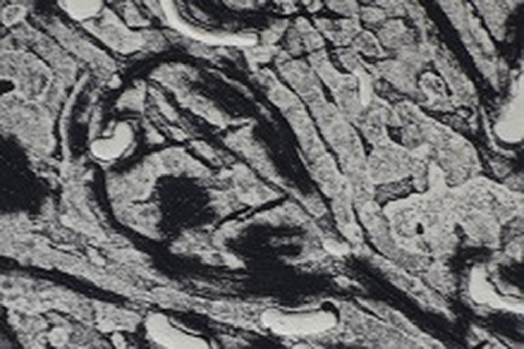 Henc van Maarseveen, ets in reliefdruk met aquatint, 1963. kopen? Bied vanaf 10!