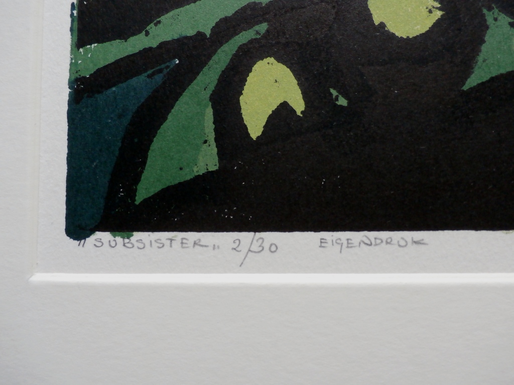 Fon Klement - boardsnede: Subsister - gesigneerd kopen? Bied vanaf 175!