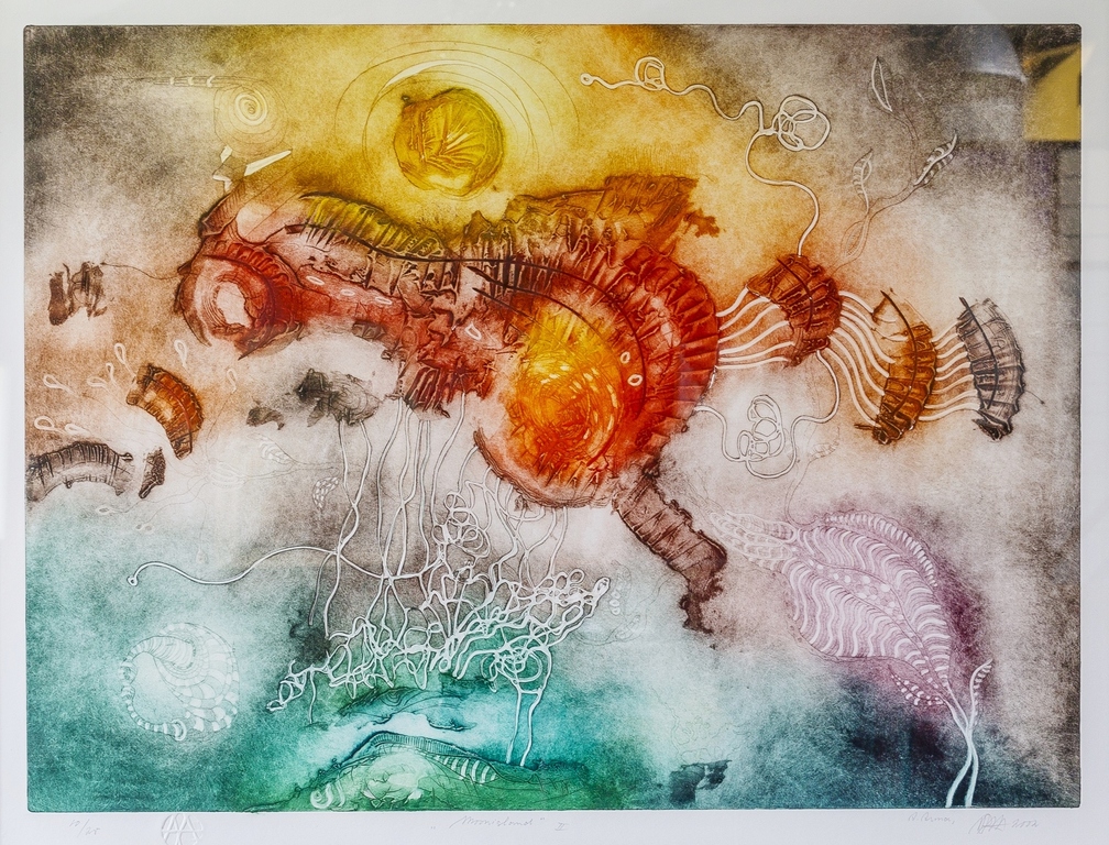 Ad Arma grote kleuren ets 'Moonisland II' - 2002 - ingelijst. verkocht voor € 100!