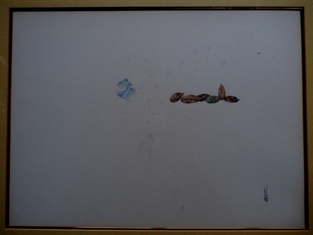 Melle oldeboerrigter ingelijste aquarel:compositie met schelp en pitten, handges kopen? Bied vanaf 150!