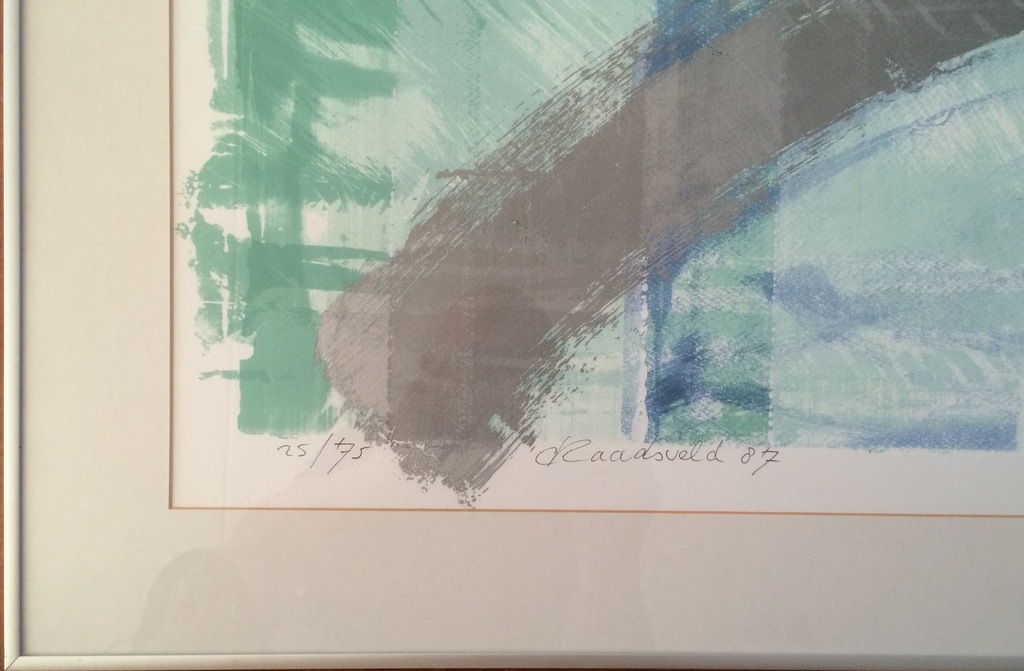 Carla Raadsveld zeefdruk kopen? Bied vanaf 85!