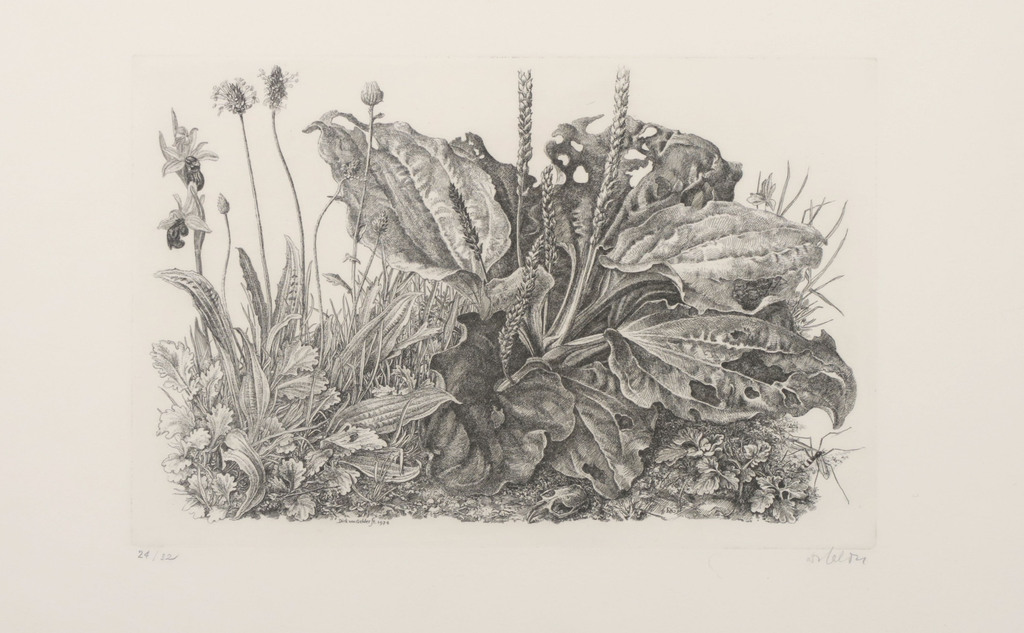 Dirk van Gelder: Ets, Zonder titel - Ingelijst kopen? Bied vanaf 50!