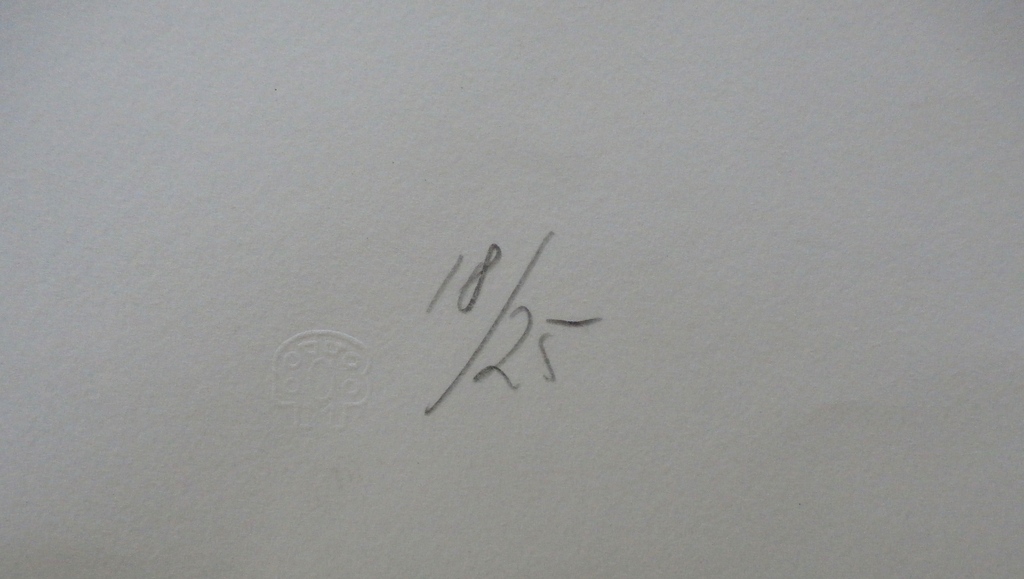 Henri Plaat - litho - 1978 - groot! kopen? Bied vanaf 60!