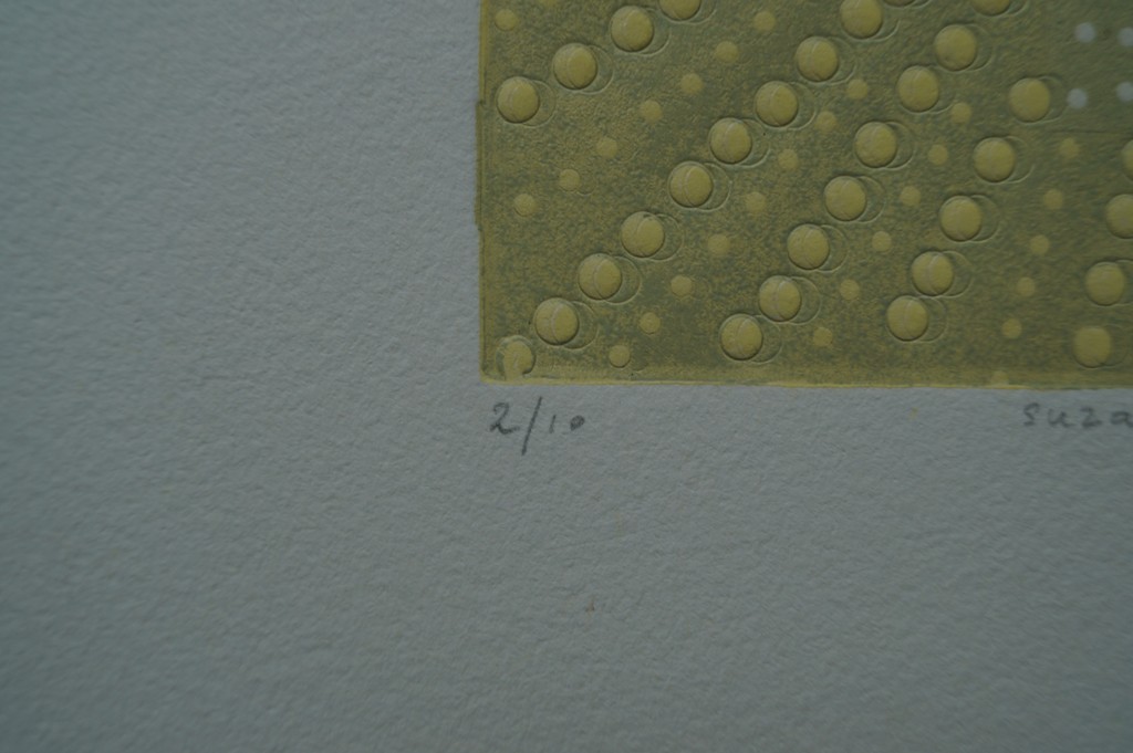 Suzanne Hartmans - gesigneerde ets met relief - 10 ex. kopen? Bied vanaf 1!