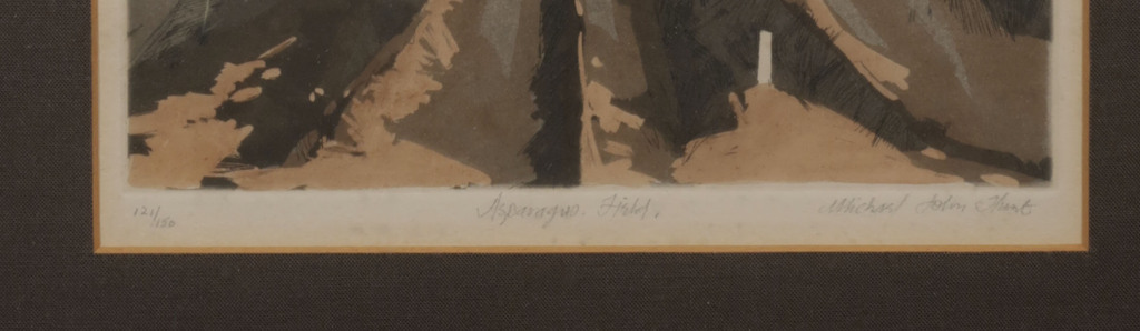 Michael John Hunt: Ets en Aquatint, Asparagus field - Ingelijst kopen? Bied vanaf 1!