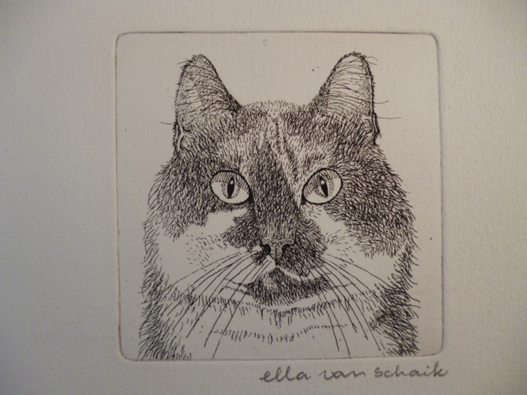 Ella van Schaik - ets - Kattekop kopen? Bied vanaf 20!