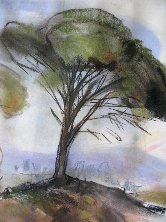Willy Belinfante, BOMEN IN DE PROVENCE, pastel op papier kopen? Bied vanaf 1!