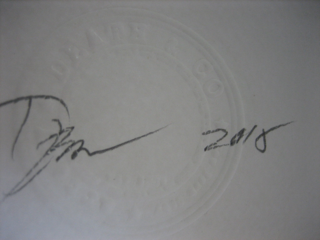 Death NYC  kopen? Bied vanaf 19!