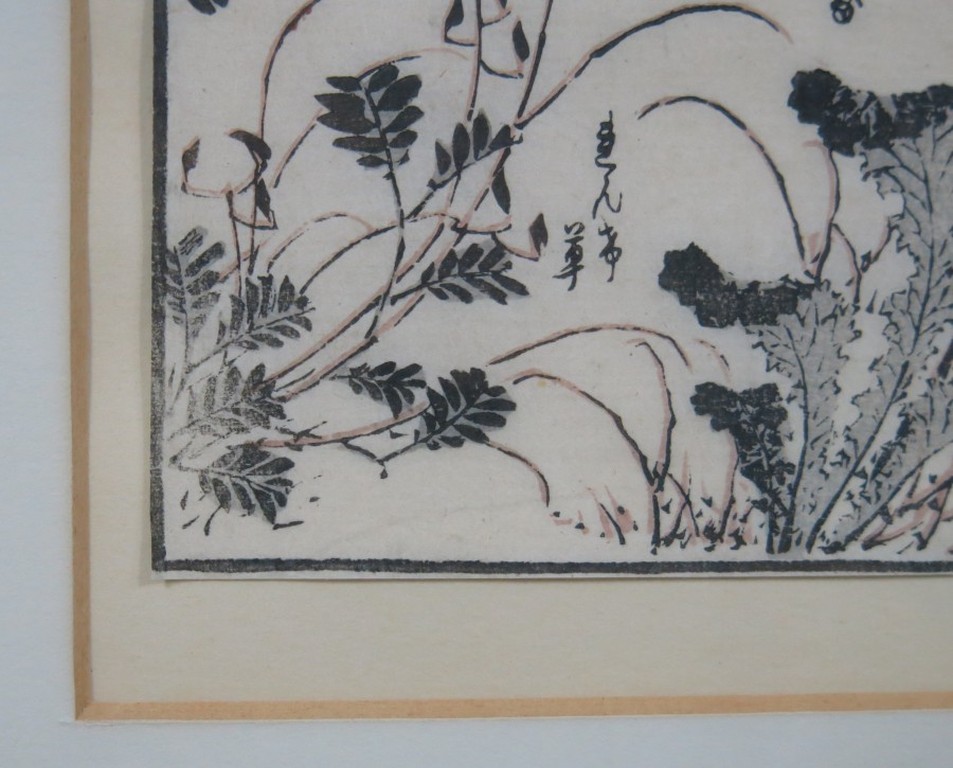 Onbekende kunstenaar: Houtsnede op Japans papier, Studie van planten - Ingelijst kopen? Bied vanaf 10!