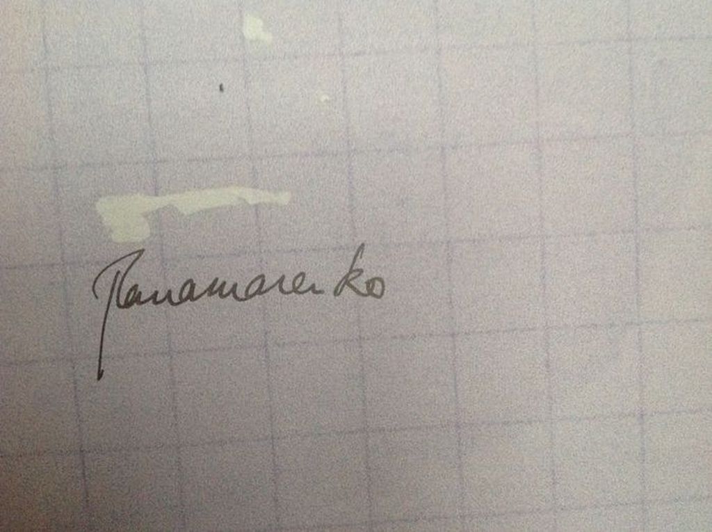 Panamarenko, Manpowered blimp / Papaver - handgesigneerde offset litho kopen? Bied vanaf 250!