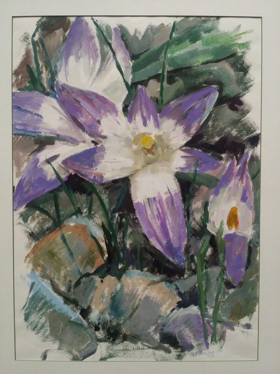 Maria Catharina Verloop. Olieverf op papier. Bloem. kopen? Bied vanaf 1!