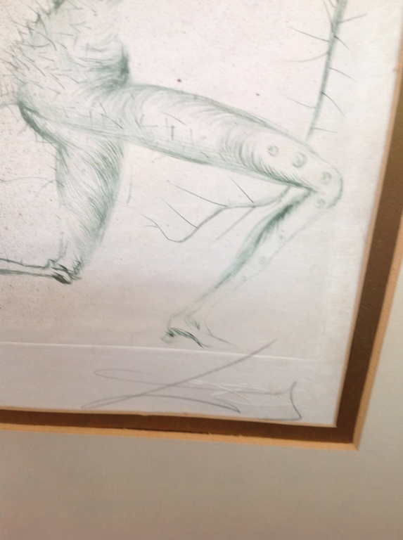 Onbekende kunstenaar gesigneerd Dali,  kopen? Bied vanaf 1!