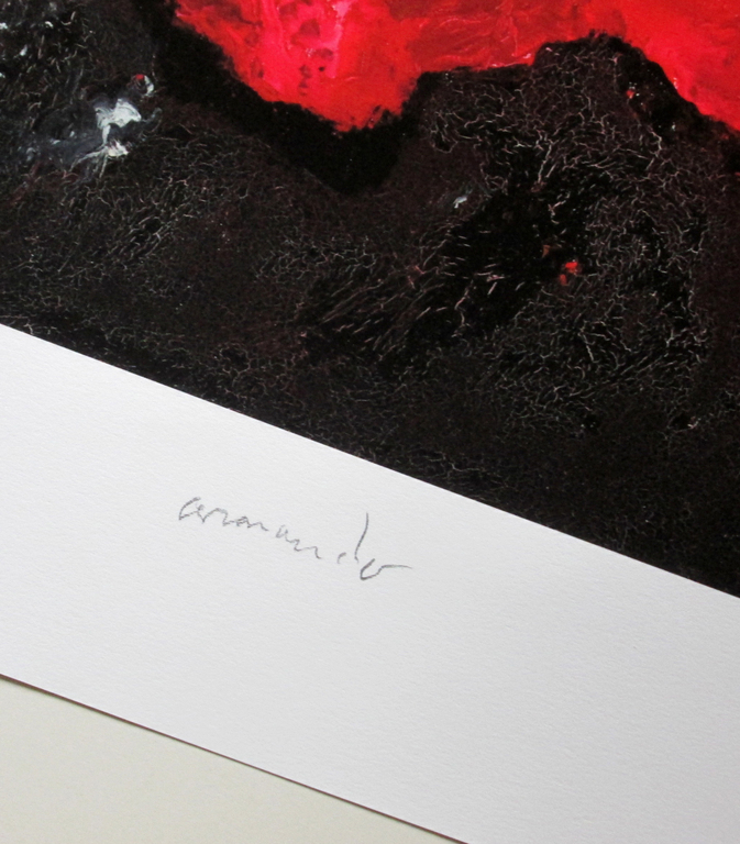 Armando-Die Blume Rot 2017- giclée op handgeschept katoenpapier-oplage 30 kopen? Bied vanaf 159!