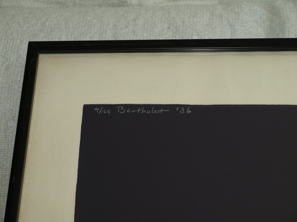 FERRY BERTHOLET (1952)-Zeefdruk –Japans naakt met koi karpers–Gesigneerd-1986 kopen? Bied vanaf 75!